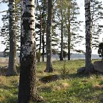 Skogsbacka Torp Raseborg