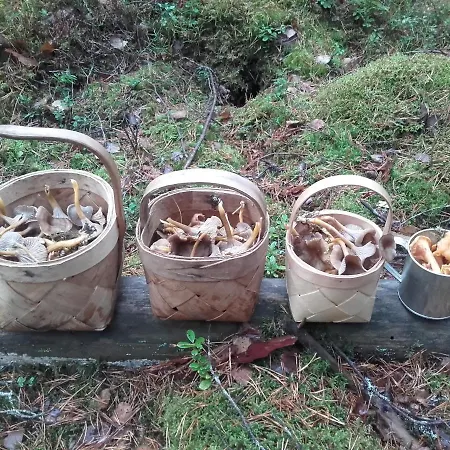 Villa Countryside Skogsbacka Raseborg