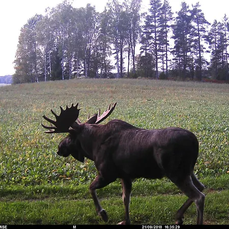 Skogsbacka Torp Villa