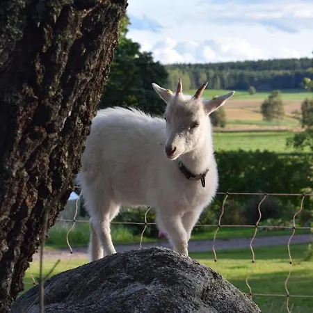Countryside Skogsbacka Raseborg