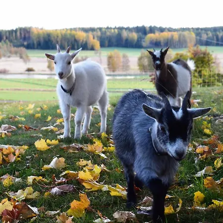 Villa Skogsbacka Torp