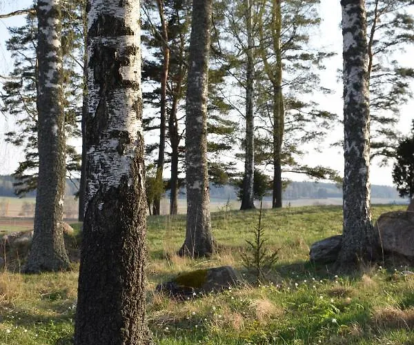 Skogsbacka Torp רסבורג