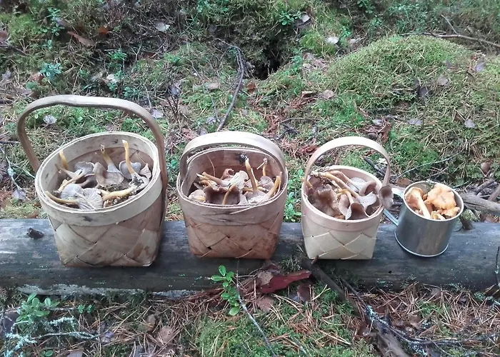 Villa Skogsbacka Torp Raseborg