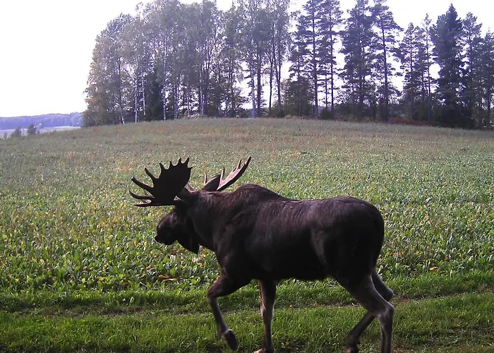 Skogsbacka Torp Villa