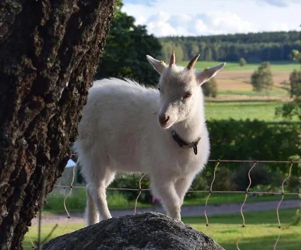 Skogsbacka Torp רסבורג