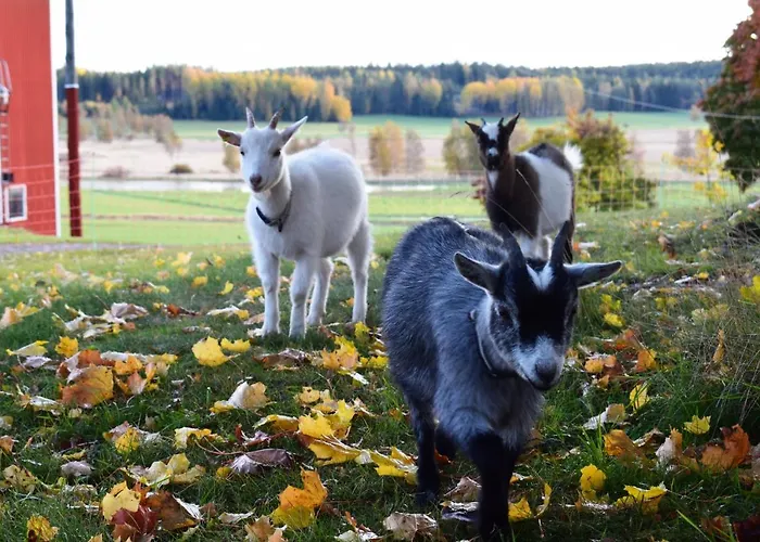 וילה Skogsbacka Torp